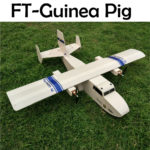 ft-guinea-pig